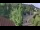 Webcam in Badeweiler, 21.3 km