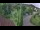 Webcam in Badenweiler, 62.5 km entfernt