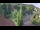 Webcam in Badenweiler, 3.5 km