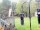 Webcam in Central Lake, Michigan, 45.9 km