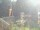 Webcam in Central Lake, Michigan, 433.9 km