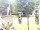 Webcam in Central Lake, Michigan, 230.3 km