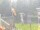 Webcam in Central Lake, Michigan, 32.4 mi away