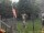 Webcam in Central Lake, Michigan, 98 mi away