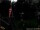 Webcam in Central Lake, Michigan, 254 km entfernt