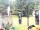 Webcam in Central Lake, Michigan, 226.8 km