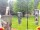 Webcam in Central Lake, Michigan, 98.7 km