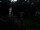 Webcam in Central Lake, Michigan, 57.8 mi away