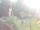 Webcam in Central Lake, Michigan, 86.2 mi away