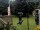 Webcam in Central Lake, Michigan, 179.2 km