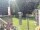 Webcam in Central Lake, Michigan, 229 km
