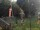 Webcam in Central Lake, Michigan, 223.6 km entfernt