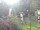 Webcam in Central Lake, Michigan, 56.4 mi away