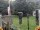 Webcam in Central Lake, Michigan, 77.9 km