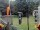 Webcam in Central Lake, Michigan, 226.8 km