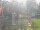Webcam in Central Lake, Michigan, 8.1 mi away
