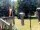 Webcam in Central Lake, Michigan, 337.1 km
