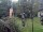Webcam in Central Lake, Michigan, 229 km