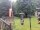 Webcam in Central Lake, Michigan, 254 km