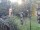 Webcam in Central Lake, Michigan, 254 km
