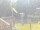 Webcam in Central Lake, Michigan, 177.4 km