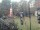 Webcam in Central Lake, Michigan, 86.2 mi away
