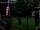 Webcam in Central Lake, Michigan, 223.6 km