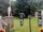 Webcam in Central Lake, Michigan, 16.2 km