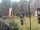 Webcam in Central Lake, Michigan, 16.2 km