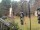 Webcam in Central Lake, Michigan, 226.8 km