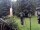 Webcam in Central Lake, Michigan, 226.8 km