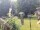Webcam in Central Lake, Michigan, 229 km