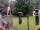 Webcam in Central Lake, Michigan, 229 km