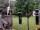 Webcam in Central Lake, Michigan, 226.8 km