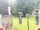Webcam in Central Lake, Michigan, 230.3 km