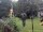 Webcam in Central Lake, Michigan, 229 km