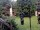 Webcam in Central Lake, Michigan, 254 km