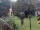 Webcam in Central Lake, Michigan, 179.2 km
