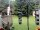 Webcam in Central Lake, Michigan, 229 km