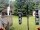 Webcam in Central Lake, Michigan, 93.8 km entfernt