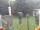 Webcam in Central Lake, Michigan, 14.6 mi away