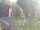 Webcam in Central Lake, Michigan, 89.4 mi away