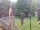 Webcam in Central Lake, Michigan, 231.6 km