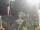 Webcam in Central Lake, Michigan, 254 km