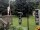 Webcam in Central Lake, Michigan, 17.9 mi away