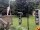 Webcam in Central Lake, Michigan, 46.4 km
