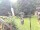 Webcam in Central Lake, Michigan, 337.1 km