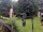 Webcam in Central Lake, Michigan, 225.6 km