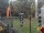 Webcam in Central Lake, Michigan, 223.6 km entfernt