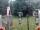 Webcam in Central Lake, Michigan, 32.4 mi away
